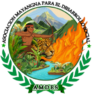 asociacionmayangna.org